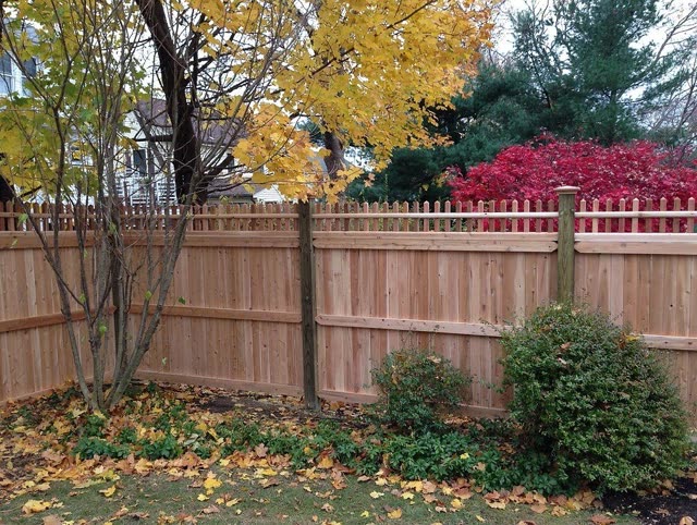 Wooden privacy fence in autumn