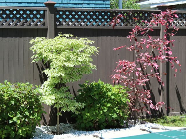 Highland Fence project photo