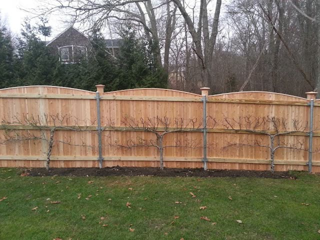 Highland Fence project photo